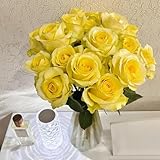 semillas de rosas perennes resistentes, rosas trepadoras semillas macizos de flores, plantas exóticas resistentes plantar rosas jardín semillas cobertura del suelo, perenne resistente 100pcs