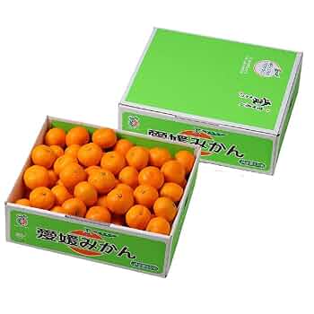 こだまみかんです imgrc0114536539.jpg