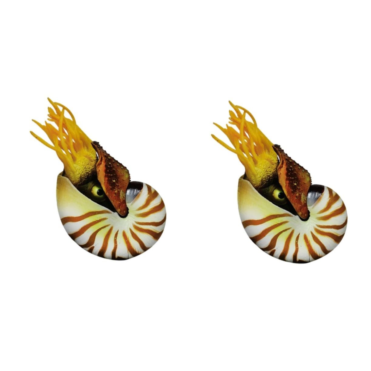 ULTECHNOVO 2 Pezzi Decorazioni a Guscio Conchiglia Nautilus Arredamento di Conchiglie Decorazione di Grandi Dimensioni Conchiglie di Mare Conchiglie di Acquari Acquario