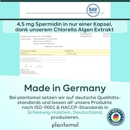 Spermidin Kapseln 4,5mg aus Chlorella Algen – vegan und glutenfrei