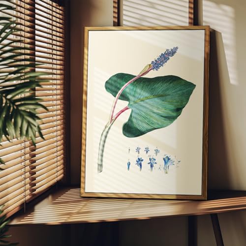 crmotu Vintage Framed Wall Art, Flower Leaf Botanical Prints, Minimalist Floral Watercolor Canvas Pictures, Nature Plant Paintings Wall Decor Living Room Bedroom Bathroom Home Office, 16x24 inch