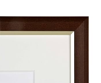 Amazon.co.jp: ダイガク(Daigaku) 額縁 ブラウン 水彩F6 軽量