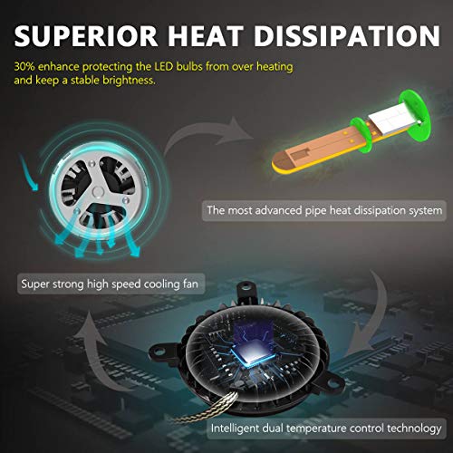 Lasfit D2 D2S D2R Led Headlight Bulb, Custom Plug And Play, For Gtr G35 G37 350Z 370Z, 10000Lm 6000K Bright White Light, Pro-In-D2 (Pack Of 2) #TOP3