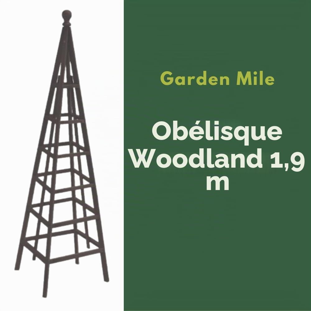 Garten Mile Treillis pour plantes grimpantes, obélisque, pyramide, support de plantes, roses, 1,9 cm, gris ardoise