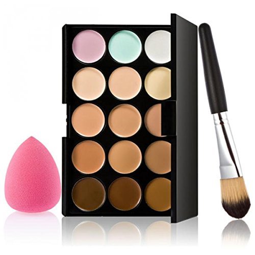 AVEU 15 Colors Contour Concealer Palette 1 Foundation Powder Makeup Brush 1 Puff (Multicolour)