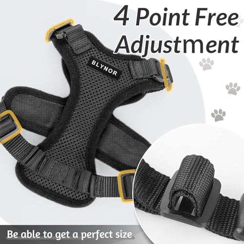 Image of No Pull Cat Harness and Leash Set for Walking - Escape Proof, Soft Air Mesh, Adjustable Vest Harness for Kittens, Cats, Puppy - Lightweight & Comfortable (Black, XS)