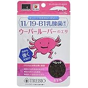 大晦日万歳 タランチュラ飼育日記その49 ビール天国イェア ニコニコ動画 大晦日万歳 タランチュラ飼育日記その49 ビール天国イェア ニコニコ動画