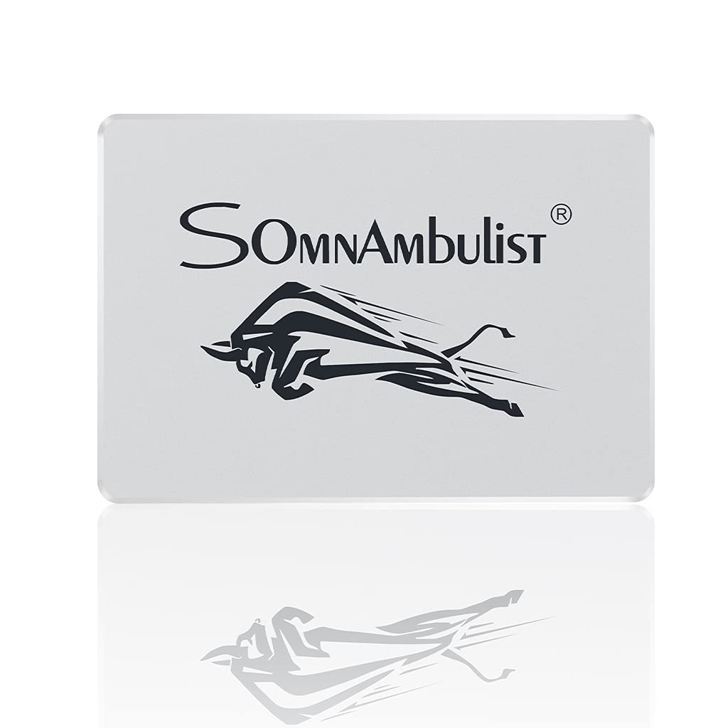 Somnambulist SSD 2TB SATA III 6Gb/s Internal Solid State Drive 2.5