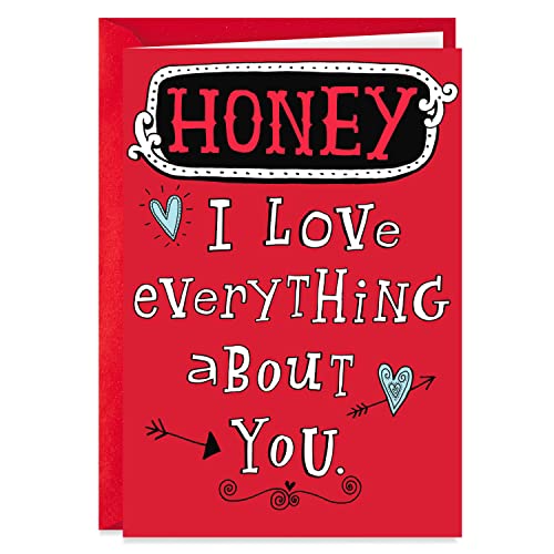 Hallmark Shoebox Funny Valentine's Day Card for Significant Other (Love Everything About You)