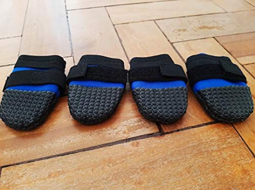 Sapato Para Cachorro Grande Porte Botinha Neoprene Azul Impermeável (XG)