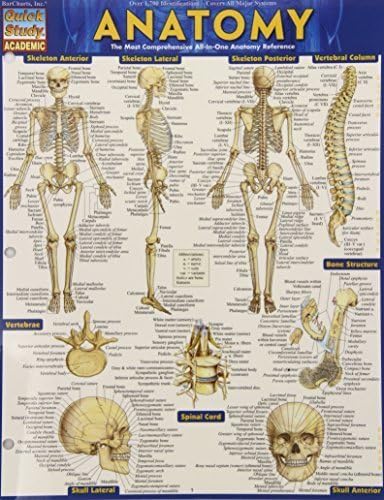 Anatomy (Quickstudy Academic) by Inc. BarCharts (2014-05-31)
