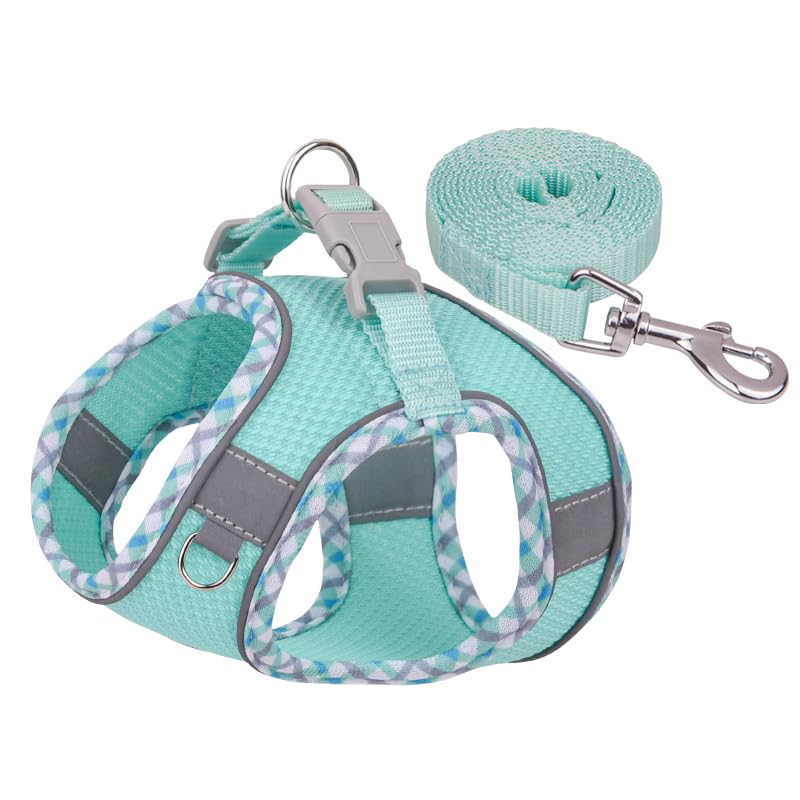 Dog Harness and Leash Set, No Pull Adjustable Reflective Pet Harness for Small Medium Dogs, Easy Walk Step in Vest Harness Outdoor Hiking Training for Extra Small Dogs, Puppy, Cats(Green, XXS) Dog Harness and Leash Set, No Pull Adjustable Reflective Pet Harness for Small Medium Dogs, Easy Walk Step in Vest Harness Outdoor Hiking Training for Extra Small Dogs, Puppy, Cats(Green, XXS)