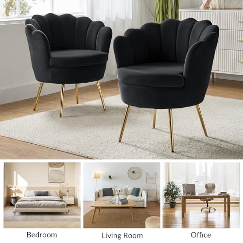 Image of HULALA HOME Modern Velvet Accent Chair with Shell Shaped Back, Cute Living Room Bedroom Armchair Sofa Chair with Gold Legs, Comfy Upholstered Vanity Chair for Makeup Room, Black