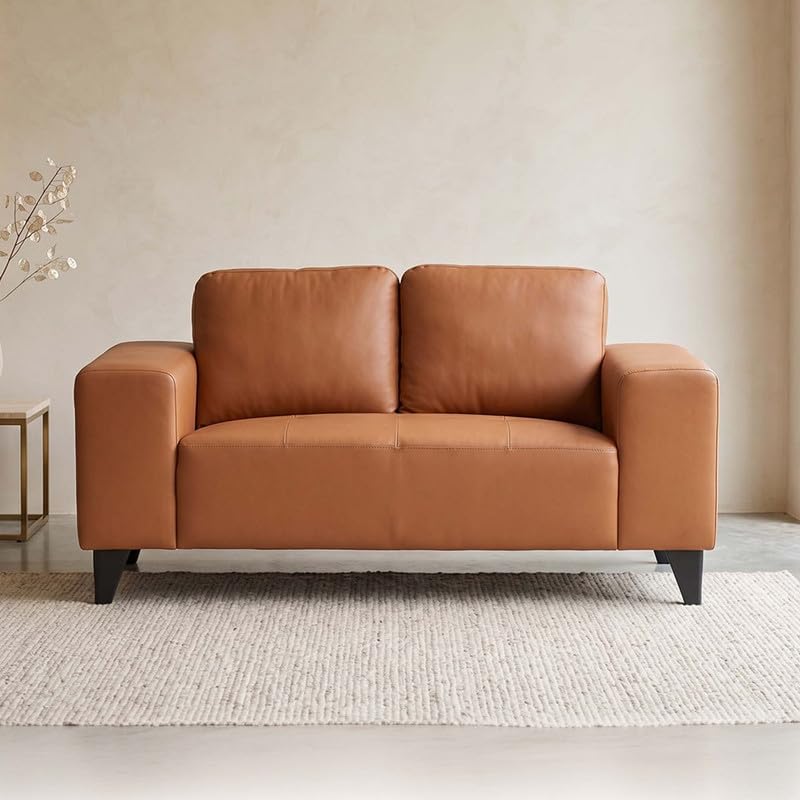 Royaloak Dona Leatherette 2 Seater Sofa, Modern Compact Sofa for Living Room, Soft Cushions, Wide Armrests and Ergonomic Backrest, Stylish Home Furniture, W 61.02 X D 31.10 X H 33.46 Inches-image-23