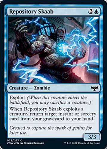 Magic: the Gathering - Repository Skaab (073)