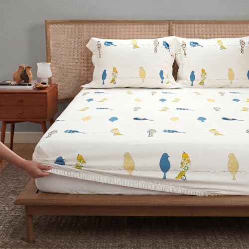 Image of Urban Space Divine 144 TC 100% Cotton Printed Fitted Bedsheet King Size with 2 Pillow Covers (Size 78 x 72 inches, Humming Bird Blue)