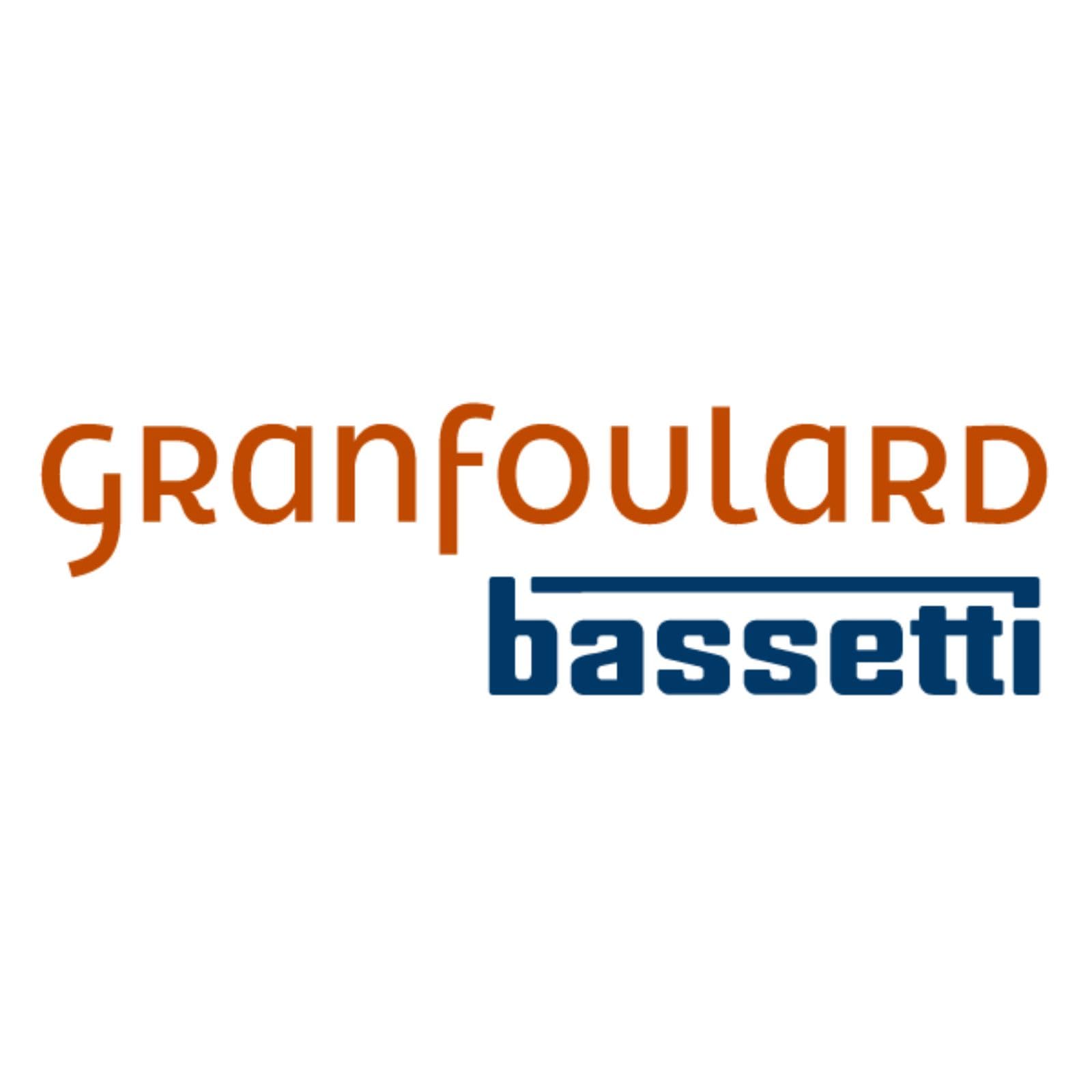 Bassetti trapunta matrimoniale invernale Piumone Granfoulard in Cotone made in Italy (Paisley Beibe)