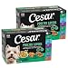 CESAR Soft Wet Dog Food Poultry Lovers Variety Pack with Real Chicken, Turkey or Duck, (36) 3.5 oz. Easy Peel Trays