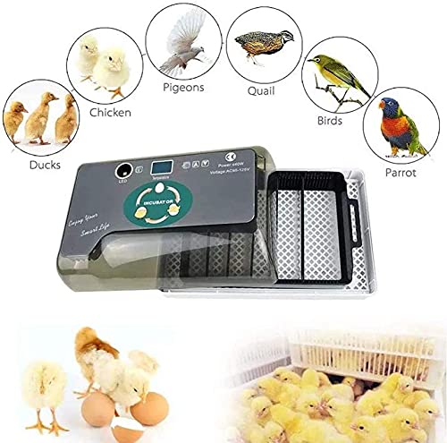 Ei incubator, 12 eieren Volautomatische Poultry Hatcher Machine, LED Candler Automatische Egg Turner Temperatuurregeling… - Afbeelding 7