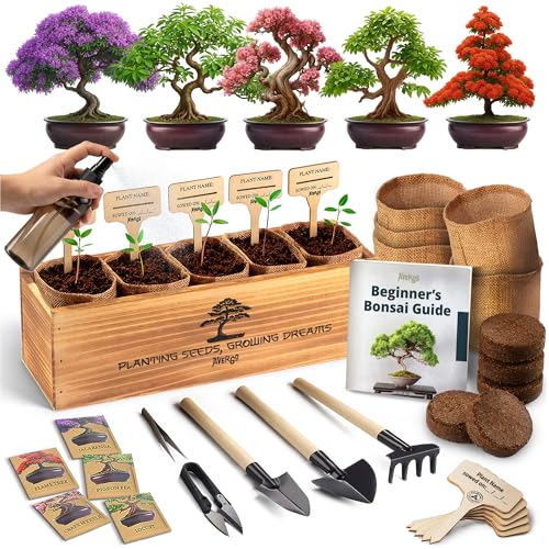 DIY Bonsai Tree Kit for Beginners – 5X Unique Japanese Bonzai Trees | Complete Indoor Bonsai...