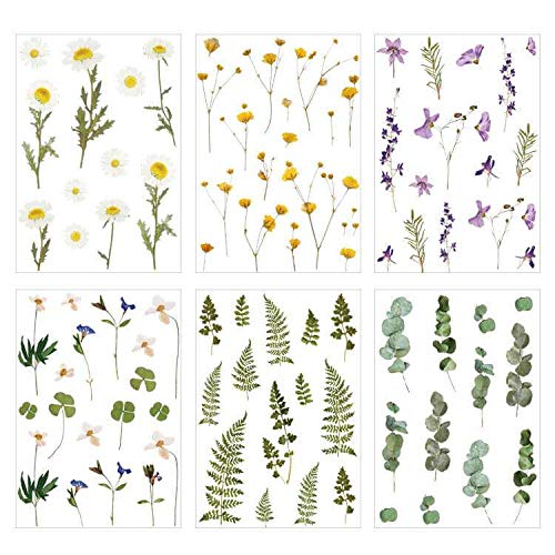 DzdzCrafts Daisy Iris Flowers Clover Eucalyptus 6 Sheets Transparent PVC Waterproof PET Decals Stickers Pack for Scrapbooking Diary Planner Album journals Phone Case Card Making Laptop Journaling