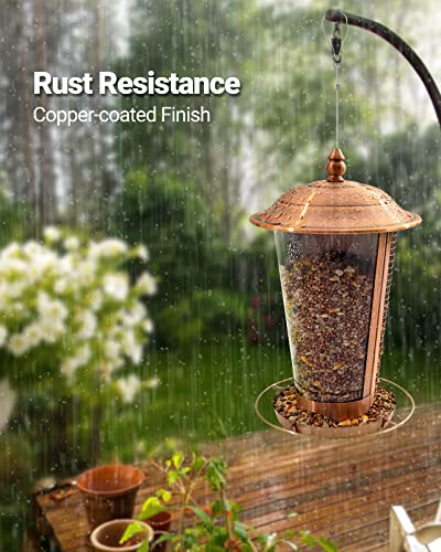 Sahara Sailor Mangiatoia per Uccelli, Mangiatoia