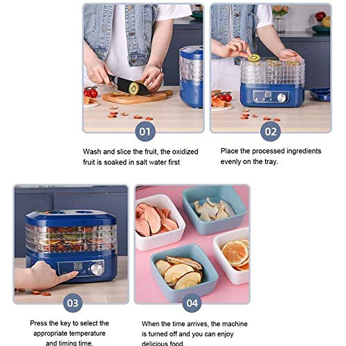 ZXLLAFT Dörrautomaten Lebensmittel Elektrischer Lebensmitteltrockner mit 5 BPA-freien Schalen Dörrgerät, Timer Und Temperaturregelung, für Obst, Gemüse Rindfleisch,220V – Bild 5