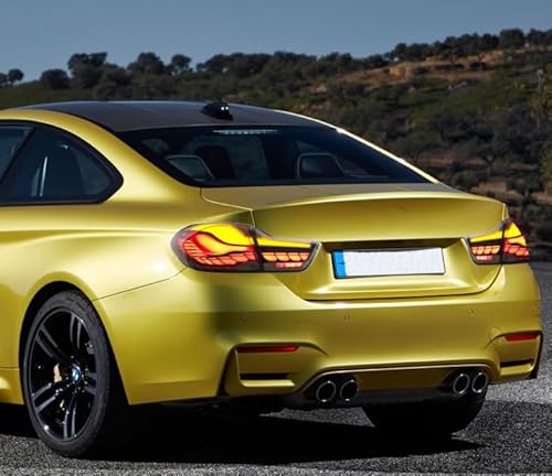 VLAND Fari posteriori OLED compatibili per B-M-W