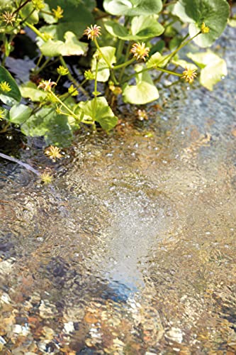 OASE 37125 Teichbelüfter AquaOxy 1000 | Sauerstoffversorgung | Belüfterpumpe | Belüfter | Sauerstoffanreicherung