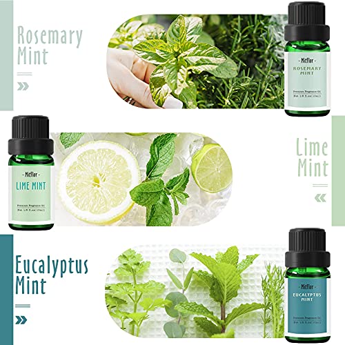 Mint Fragrance Oils, Mitflor 12 Bottles Premium Scented Oils For Diffuser, Winter, Soap, Candle Making, Cedarwood Mint, Hot Spring, Aromatherapy Oils Gift Sets #TOP3