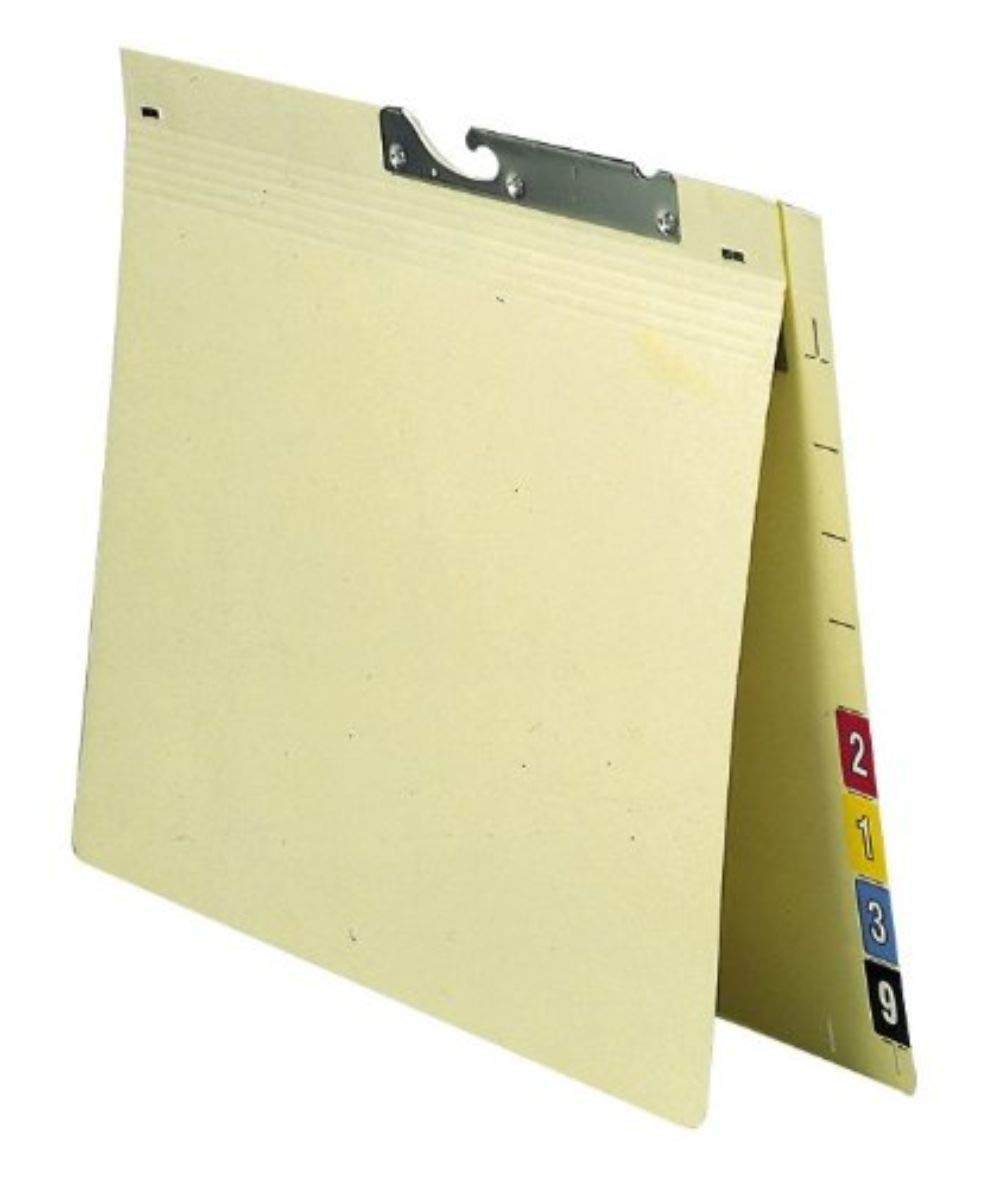 Elba 90401 - Cartella sospesa Spektral, in cartoncino kraft riciclato, 230 g/mq, formato A4, con linguette divisorie per numerazione, 50 pezzi, colore beige