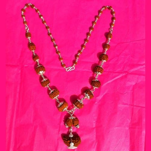 Siddha (Rudraksha) Mala in Silver - 1,2,3,4,5,6,7,8,9,10,11,12,13,14 Face (Mukhi) Rudraksha Includes Gauri-Shankar and Ganesh Rudraksha (Origin: Java, Small Beads)