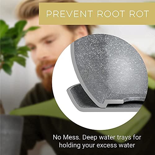 Bonsai-Tree-Kit--Plant-4-Species-of-Bonsai-Tree-w-Our-All-in-One-Plant-Kit-Bonsai-Pots-Peat-Pellets-Including-a-Bonus-in-Depth-Grow-Guide-by-Home-Grown-Great-Gardening-Gifts-for-Women-and-Men