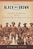 Black and Brown: African Americans and the Mexican Revolution, 1910-1920 (American History and Culture, 9)