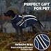 CITÉTOILE Hundemantel Hundejacke Warm Wintermantel mit Reißverschluss Winddichte & Winddichte mit Reflektorstreifen & Brustgurt für kleine Mittel Große Hunde Blau M