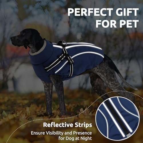 CITÉTOILE Hundemantel Hundejacke Warm Wintermantel mit Reißverschluss Winddichte & Winddichte mit Reflektorstreifen & Brustgurt für kleine Mittel Große Hunde Blau M
