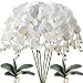 FagusHome 6 Pcs Artificial Phalaenopsis Flowers with 2 Bundles Leaves Artificial Orchid Flowers Stem Plants for Home DÃ©cor