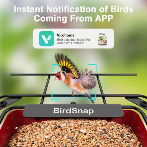 Image of birdsnap APS Metal Bird Feeder with Camera Solar 2K Video with 32GB Card