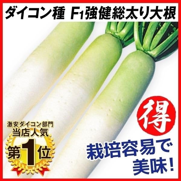 daikon様 Amazon.co.jp: Daikon Seeds [Isezawa-an (Misono Daikon)] Seed