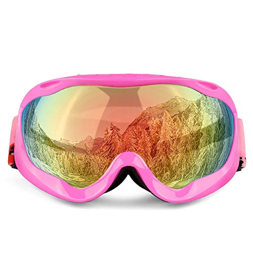 Lunettes de ski doubles en TPU avec système de bonne ventilation pour le sport