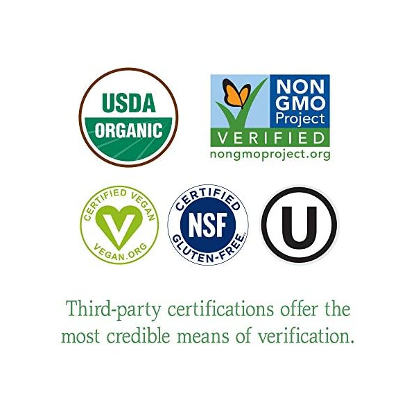 Garden-of-Life-Raw-Organic-Perfect-Food-Energizer-Juiced-Green-Superfood-Powder-Yerba-Mate-Pomegranate-Probiotics-Gluten-Free-Whole-Food-Greens-Supplements-30-Servings-973-Oz Garden of Life Raw Organic Perfect Food Energizer Juiced Green Superfood Powder - Yerba Mate Pomegranate, 30 Servings, Green Superfood Powder & Probiotics, Gluten Free Whole Food Greens Supplements