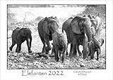 ELEFANTEN - Kalender 2022: Ausdrucksstarke Schwarz-Weiß-Fotografien der sanften Riesen Afrikas