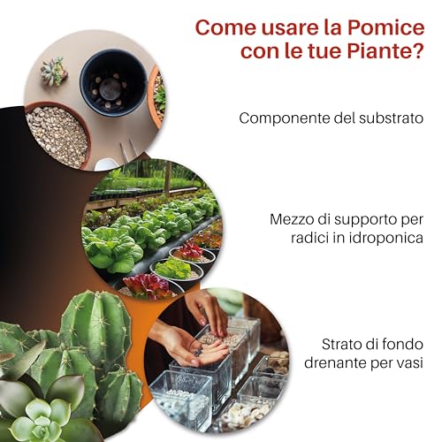 GebEarth® Pomice per Bonsai e Piante Grasse 3/6 mm | Migliora la salute radicale | Leggera e ad alto potere drenante | P