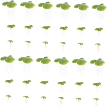 Luxshiny 2sets Lifelike Artificial Duckweed Floating Pond Plant Plastic Aquatic Plant for Fish Tank Decor 72pcs*2