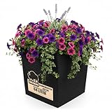 BigDean Blumentopf ca 65L 40x40x41cm mit Innentopf und Bewässerungssystem...