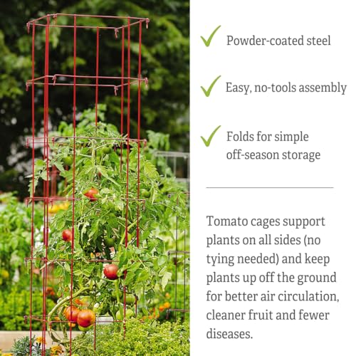 image for Gardener's Supply Company Lifetime Tomato Cage Plant Stand | 32