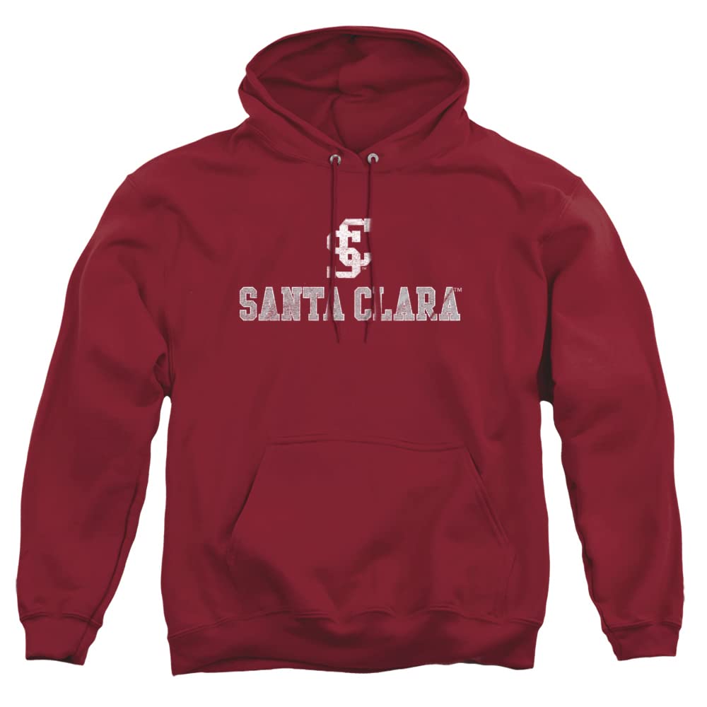 LOGOVISION Official Collegiate Distressed Primary Logo Adult Pullover Hoodie Collection — view 327