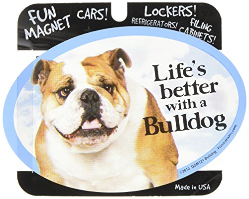 Imán Decorativo Bulldog para Gato y Perro miniatura 1