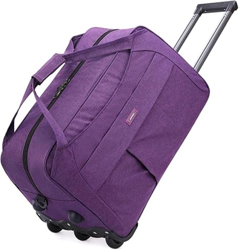 [Vexnar] {XgL[ @ e X[cP[X h y ϏՌ s ʊw o 2 LX^[t  L[P[X (u[,傫) (傫,p[v)