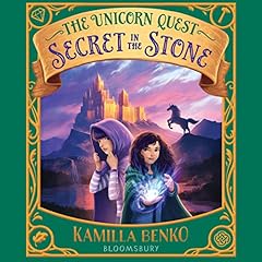 Secret in the Stone cover art
